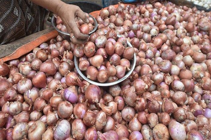 बरेच लोक कांदा महाग होण्याच्या भीतीने उन्हाळ्या मध्येच कांदे साठवून ठेवतात. यामुळे पावसाळ्यानंतर कांद्याचे भाव वाढायला लागले तरी बजेटवर त्याचा परिणाम होत नाही मात्र, बऱ्याच वेळा साठवलेले कांदे खराब होतात आणि यामुळे नुकसान होतं.
