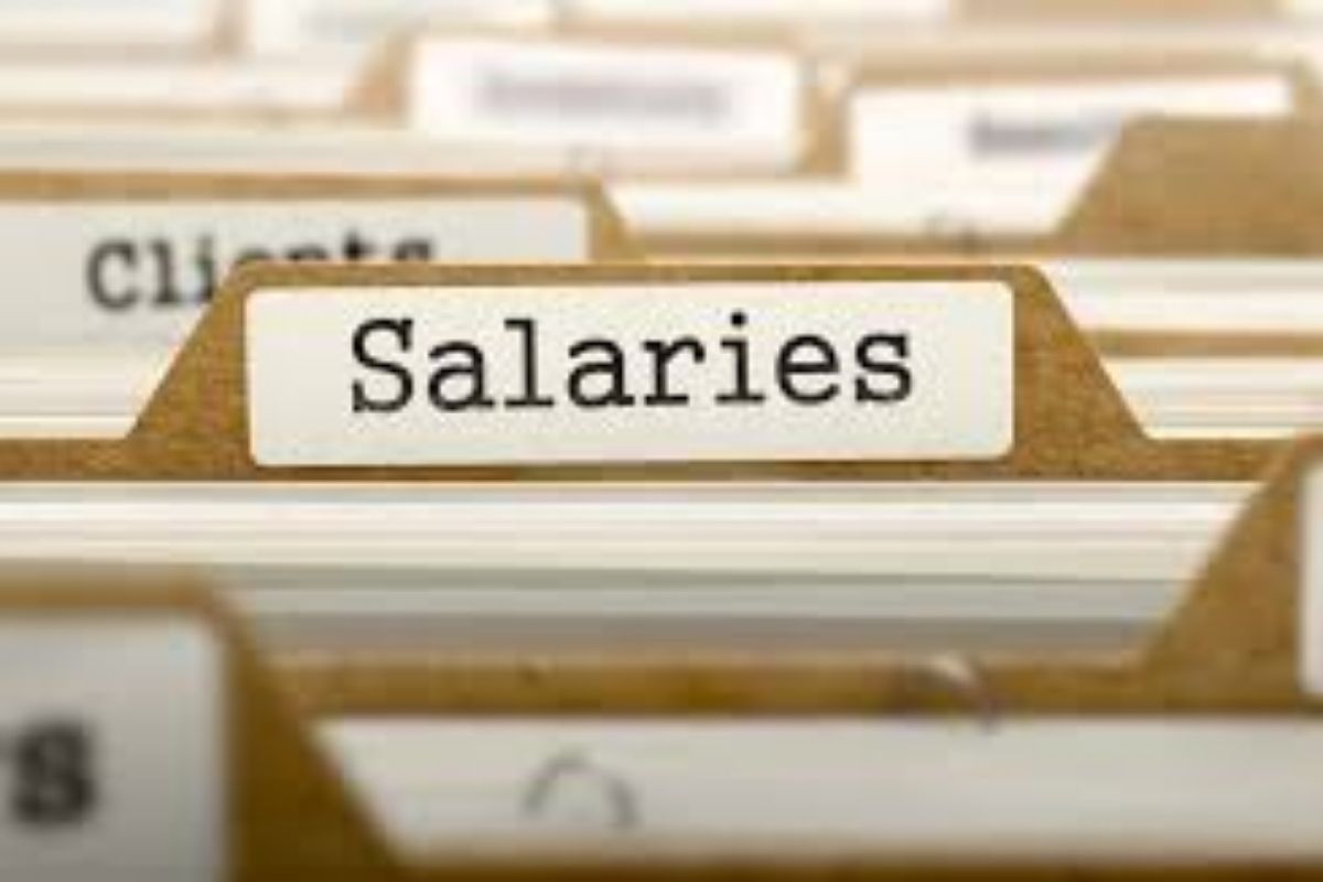 नोकरदारांनो, सॅलरी स्लिपकडे कधीही करू नका दुर्लक्ष; 'या' महत्त्वाच्या गोष्टींबद्दल मिळते माहिती