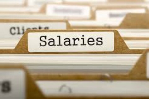 ऑफिसच्या सिस्टिममध्ये ही Salary Slip तुम्हाला मिळेल किंवा कंपनीकडून तुमच्यापर्यंत पोहोचवण्यात येईल. नोकरी बदलताना हा दस्तावेज अत्यंत आवश्यक आहे. दरम्यान याशिवायही ही सॅलरी स्लिपचे (Importance of Salary Slip) गरजेची आहे.
