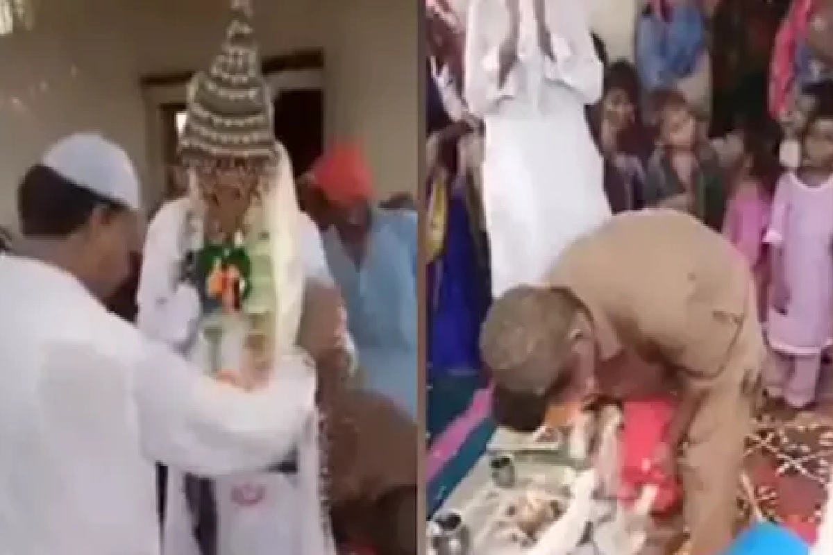 पाकिस्तानात अजब लग्न, तरुणानं हिंदू पद्धतीनं बकरीसोबत घेतले 7 फेरे, पाहा Viral Video