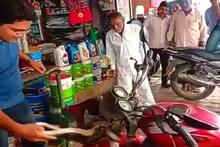पुण्यातील अजब घटना, बाईकच्या हँडलमधून येत होते विचित्र आवाज, आतून निघाला कोब्रा