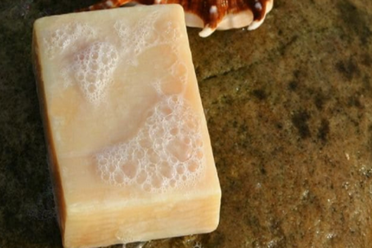 आदिवासी महिलांनी बनवलेल्या साबणांना अमेरिकेतून मागणी, वाचा काय आहे याची किंमत आणि वैशिष्ट्यं