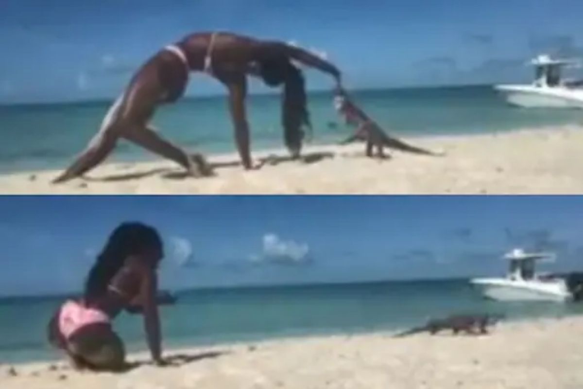 Viral Video : समुद्र किनारी बिकीनी घालून योगा करीत होती तरुणी; अचानक भल्या मोठ्या पालीने केला हल्ला!