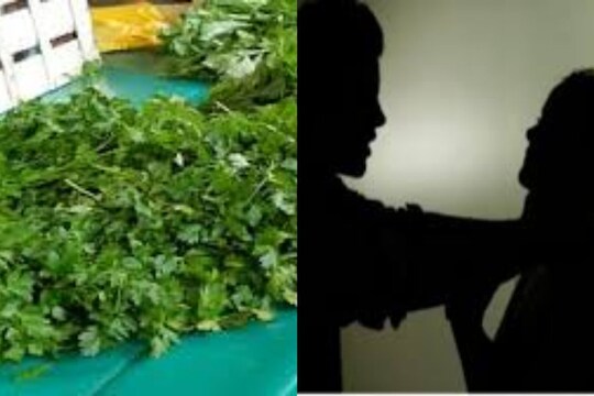 भाजीत कोथिंबीर घातली नाही म्हणून पतीने केली मारहाण; पत्नीनेही उचललं धक्कादायक पाऊल