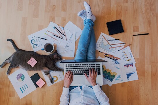 Work From Home करणाऱ्या या कर्मचाऱ्यांसाठी मोठी बातमी! 25% पर्यंत होणार पगारकपात, वाचा काय आहे कारण?