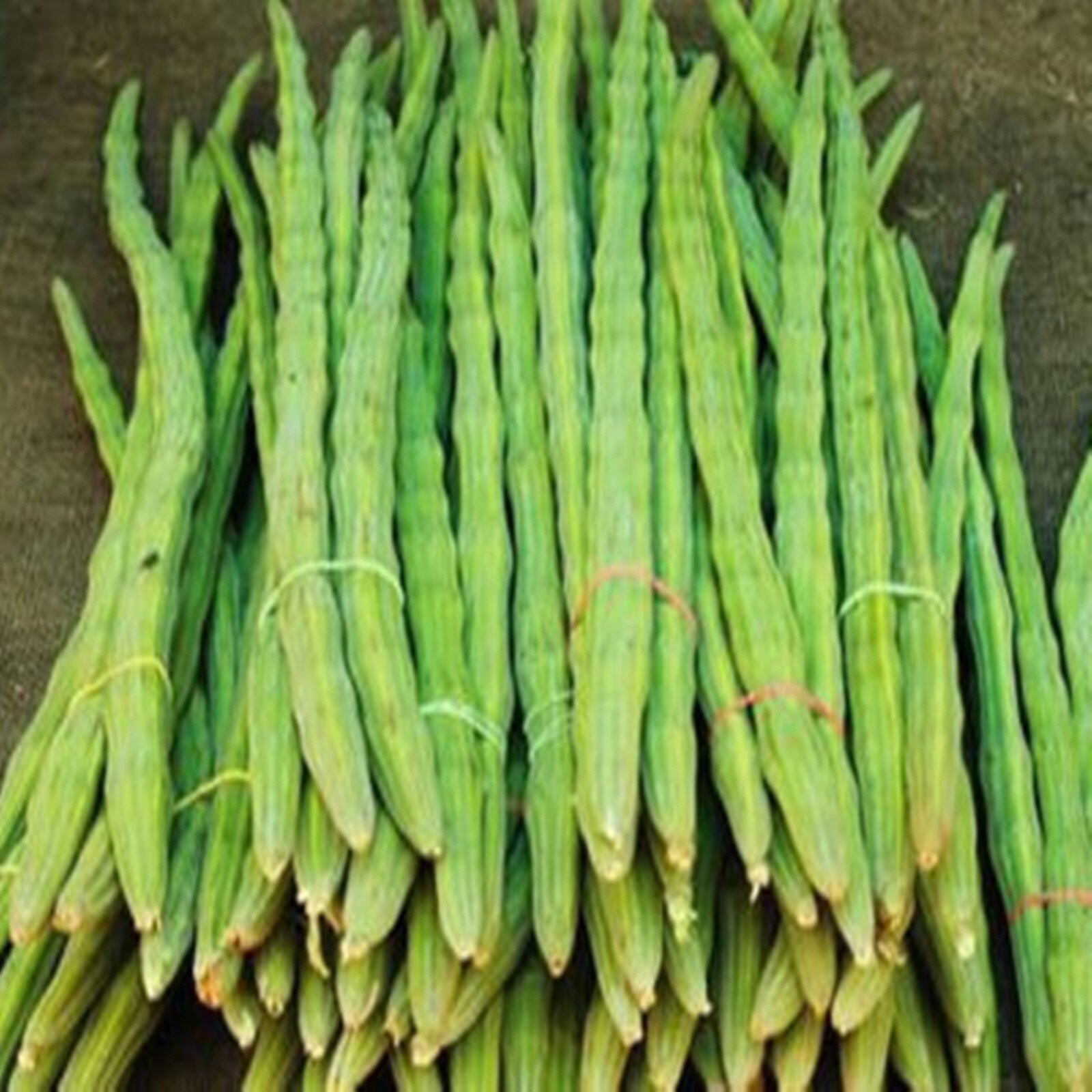 प्रतिकारशक्ती वाढवण्याबरोबरच शेवग्याचे आरोग्यासाठी असलेले इतके फायदे वाचून तुम्ही थक्क व्हाल