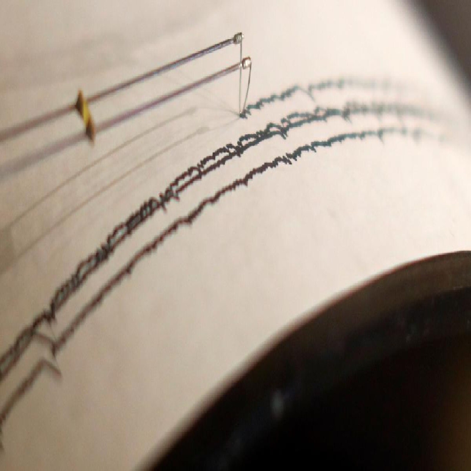 देवरुख संगमेश्वरच्या दरम्यान भूकंपाचे हादरे बसले आहे. तर साताऱ्यातील कोयना धरण (Koyna Dam) परिसर सुद्धा भूकंपाने हादरला.