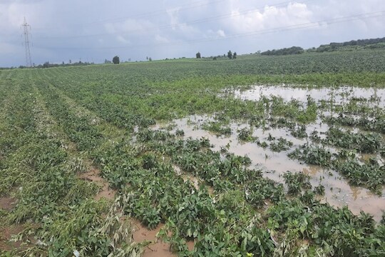 बीड जिल्ह्यात अतिवृष्टीमुळे मोठं नुकसान, 6 जणांचा मृत्यू तर 16 जनावरांसह 900 कोंबड्या दगावल्या