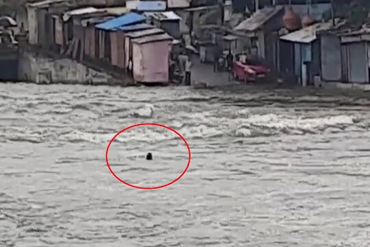 पावसाचा कहर, त्यात आली पोहण्याची लहर अन् पुराच्या पाण्यात गेला वाहून, नाशकातील घटनेचा LIVE VIDEO