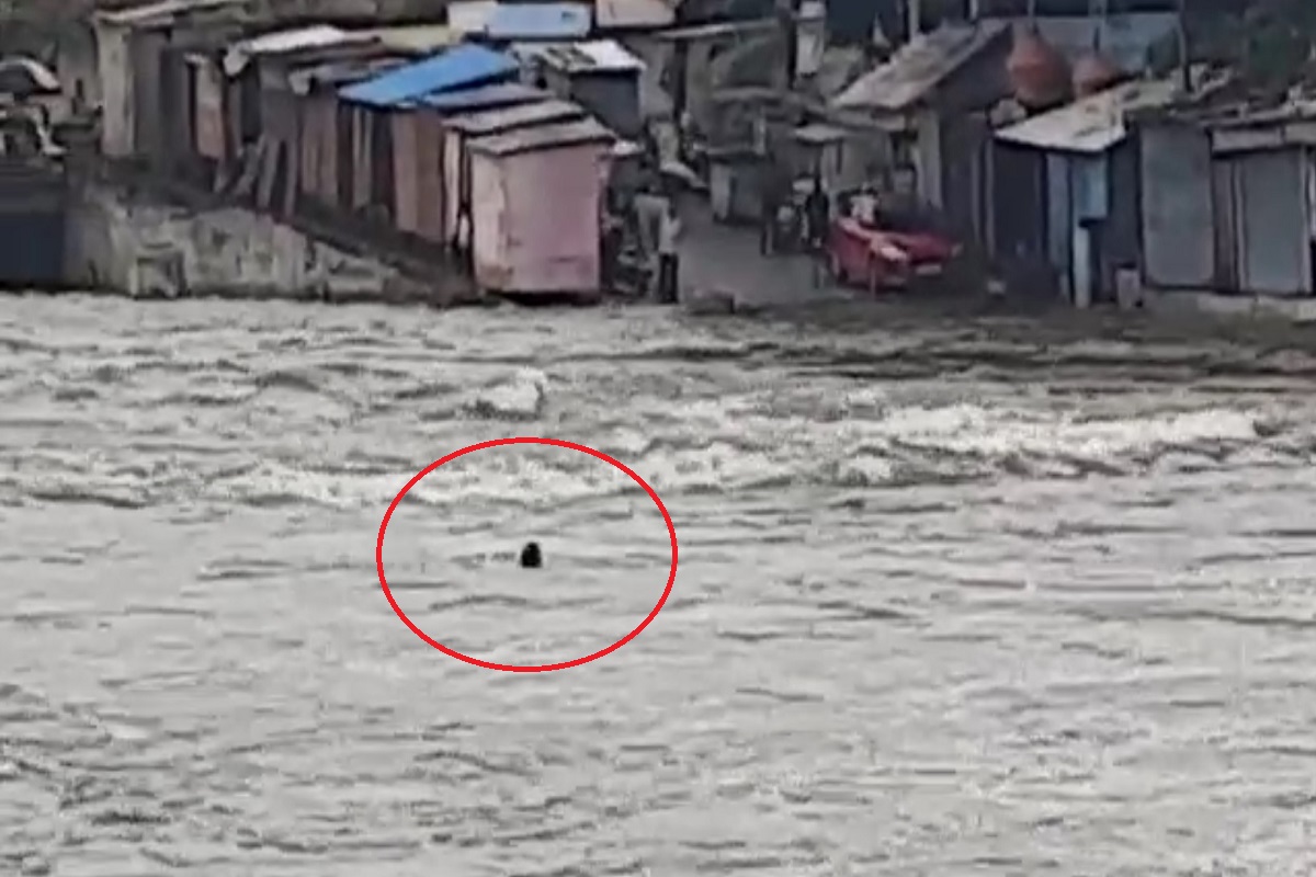 पावसाचा कहर, त्यात आली पोहण्याची लहर अन् पुराच्या पाण्यात गेला वाहून, नाशकातील घटनेचा LIVE VIDEO