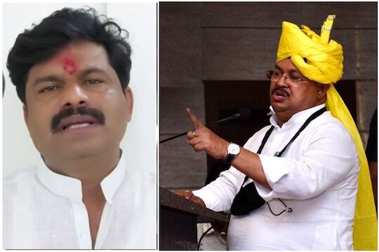 त्या पत्रावरुन वडेट्टीवार संतापले अन् म्हणाले, "पडळकर हा अज्ञानी बालक, उगवलेले नवीन गवत"