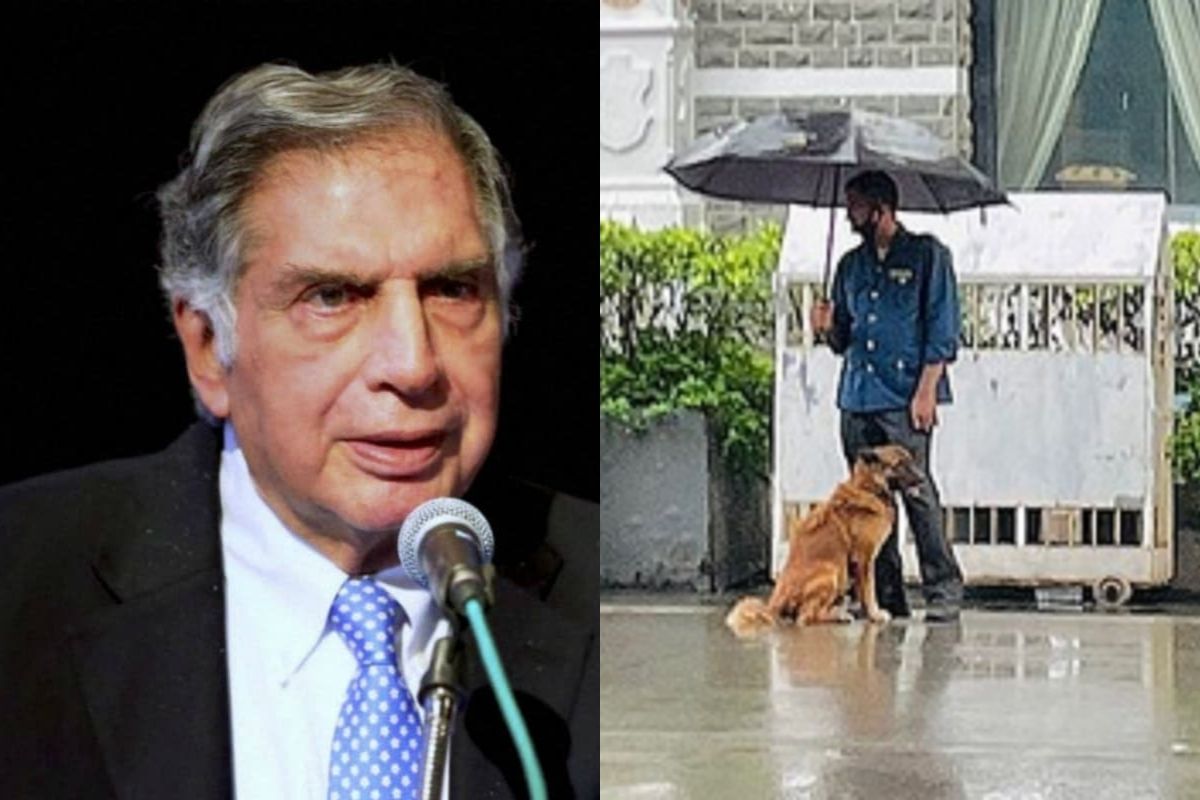 Ratan Tata Shared Post On Instagram