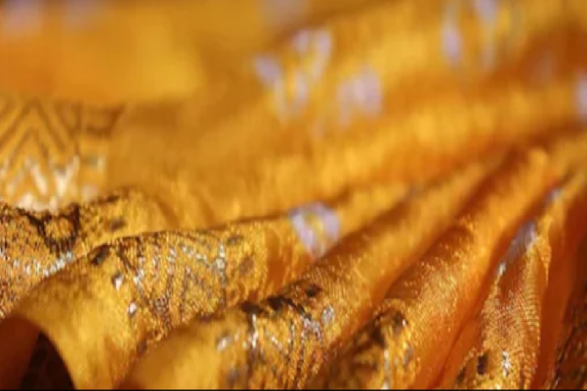 खरंच की काय! साडी नेसल्यामुळे महिलेला रेस्टॉरंटमध्ये नाकारला प्रवेश, पाहा VIRAL VIDEO