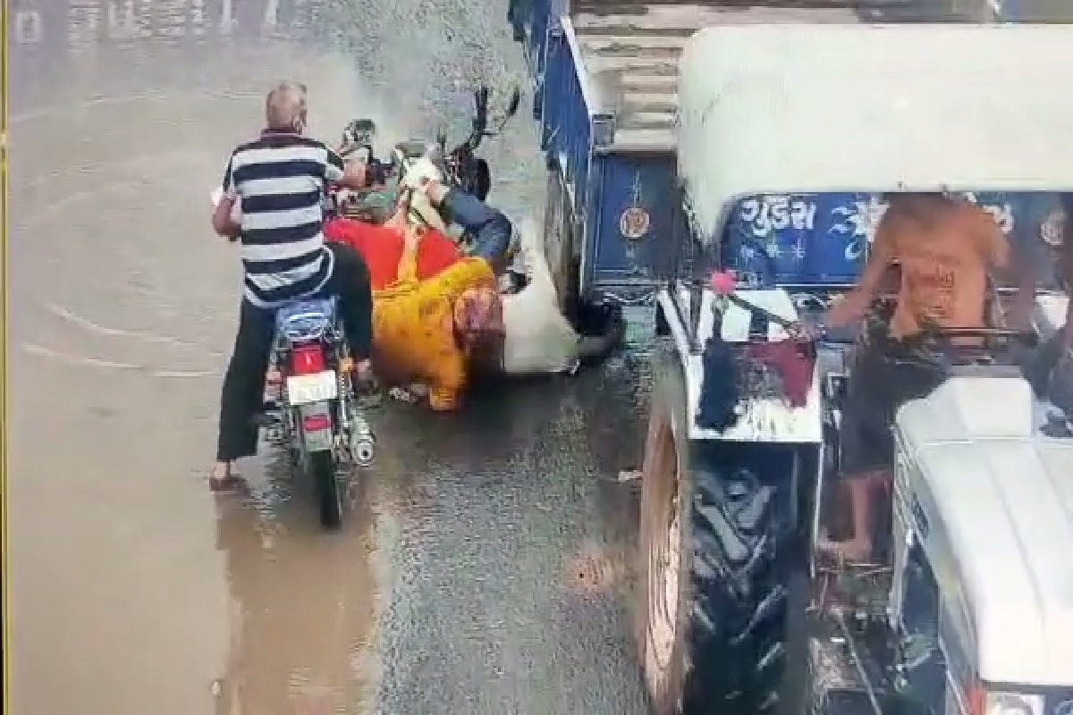 नशीब म्हणायचं की चमत्कार? डोक्यावरून ट्रॅक्टर जाऊनही वाचला जीव, पाहा Shocking VIDEO