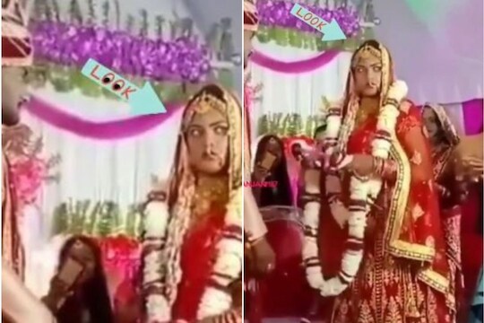 VIDEO: नवरदेवाच्या मित्रांमुळे मंडपातच चढला नवरीचा पारा; पुढे जे केलं ते पाहून पाहुणेही थक्क