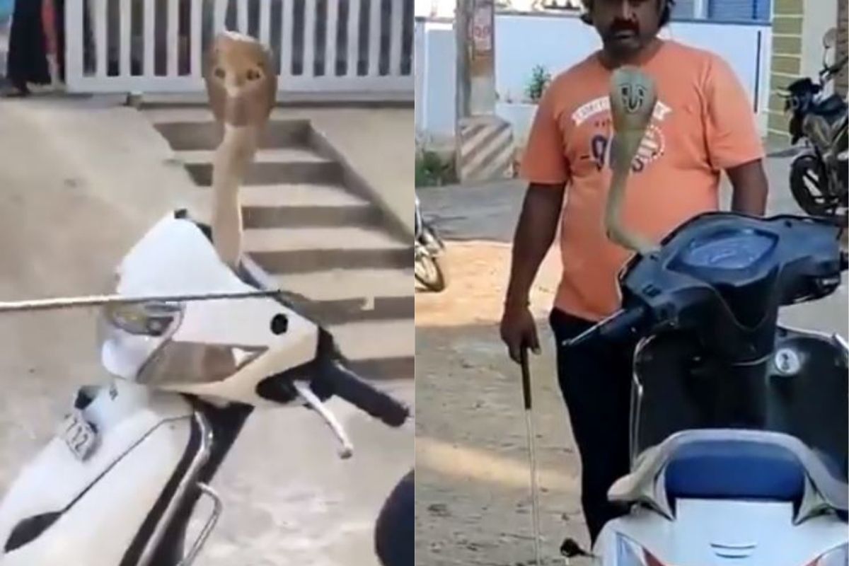 स्कूटी सुरू करण्याचा प्रयत्न करत होता व्यक्ती; अचानक बाहेर आला कोब्रा अन्..., थरकाप उडवणारा VIDEO