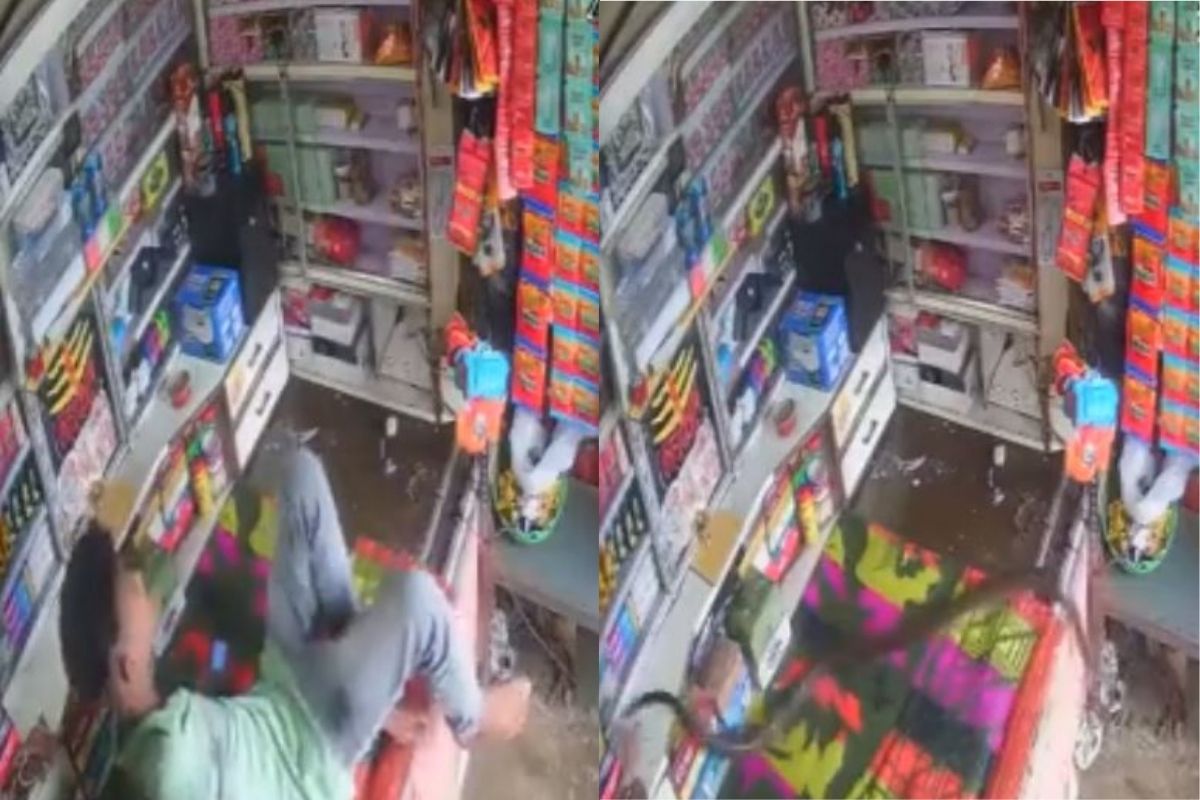 दुकानात बसलेला मुलगा; इतक्यात छतावरुन कोसळला कोब्रा अन्...; धडकी भरवणारा VIDEO