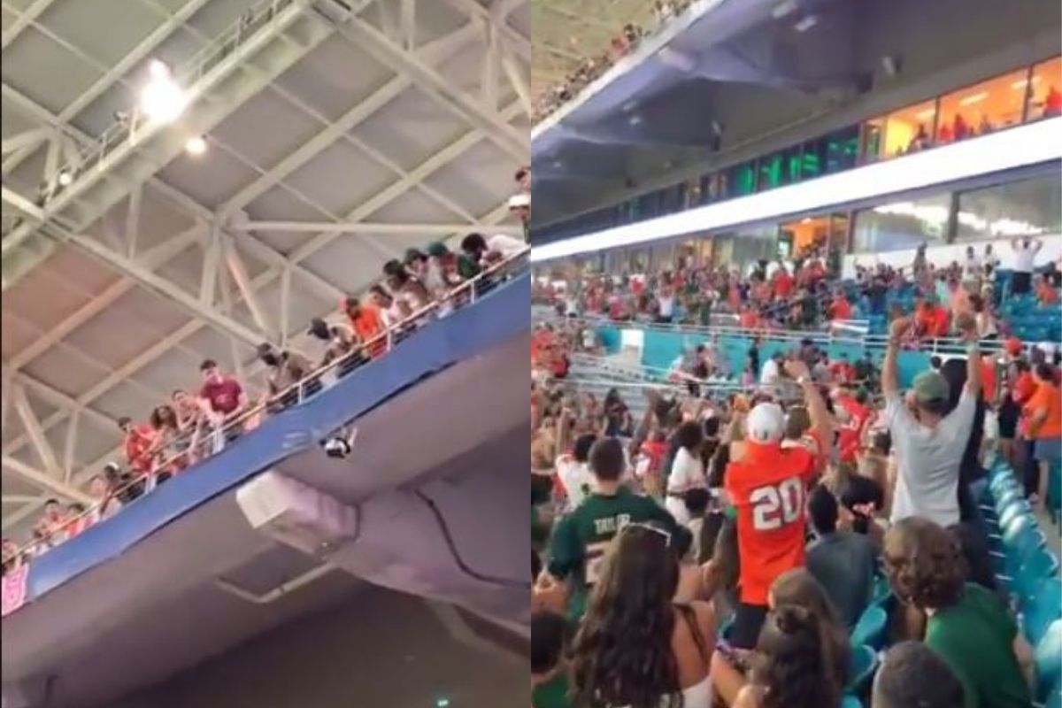 एका मांजरीसाठी थांबवला फुटबॉलचा LIVE सामना; प्रेक्षकांनी वाचवले मुक्या जीवाचे प्राण, पाहा VIDEO