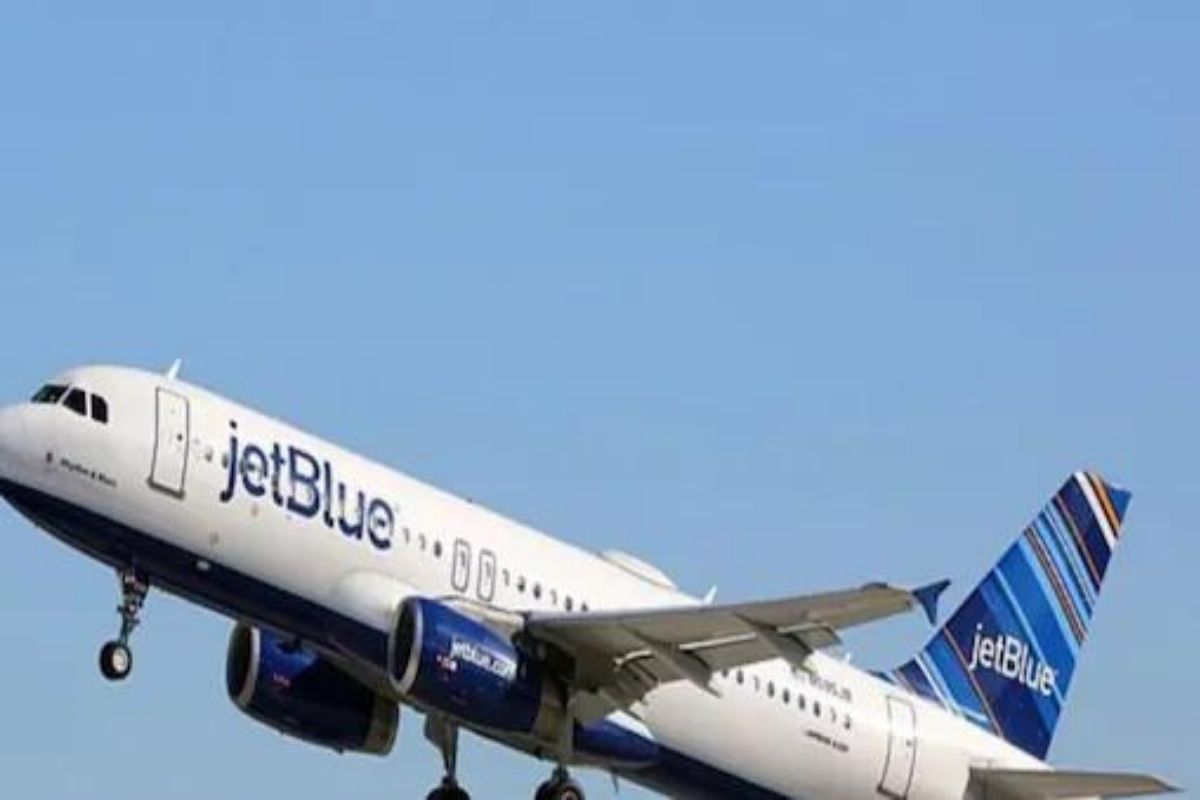 आताच्या आता विमान लॅण्ड करा, मला फोनवर बोलायचंय; प्रवाशाची फ्लाईटमध्येच स्टाफला मारहाण