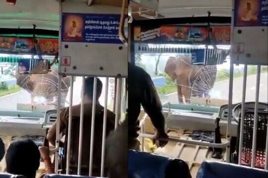 VIDEO: चवताळलेल्या हत्तीचा बसवर हल्ला; आधी काचा फोडल्या अन् मग..., पाहा गजराजचा भयंकर अवतार