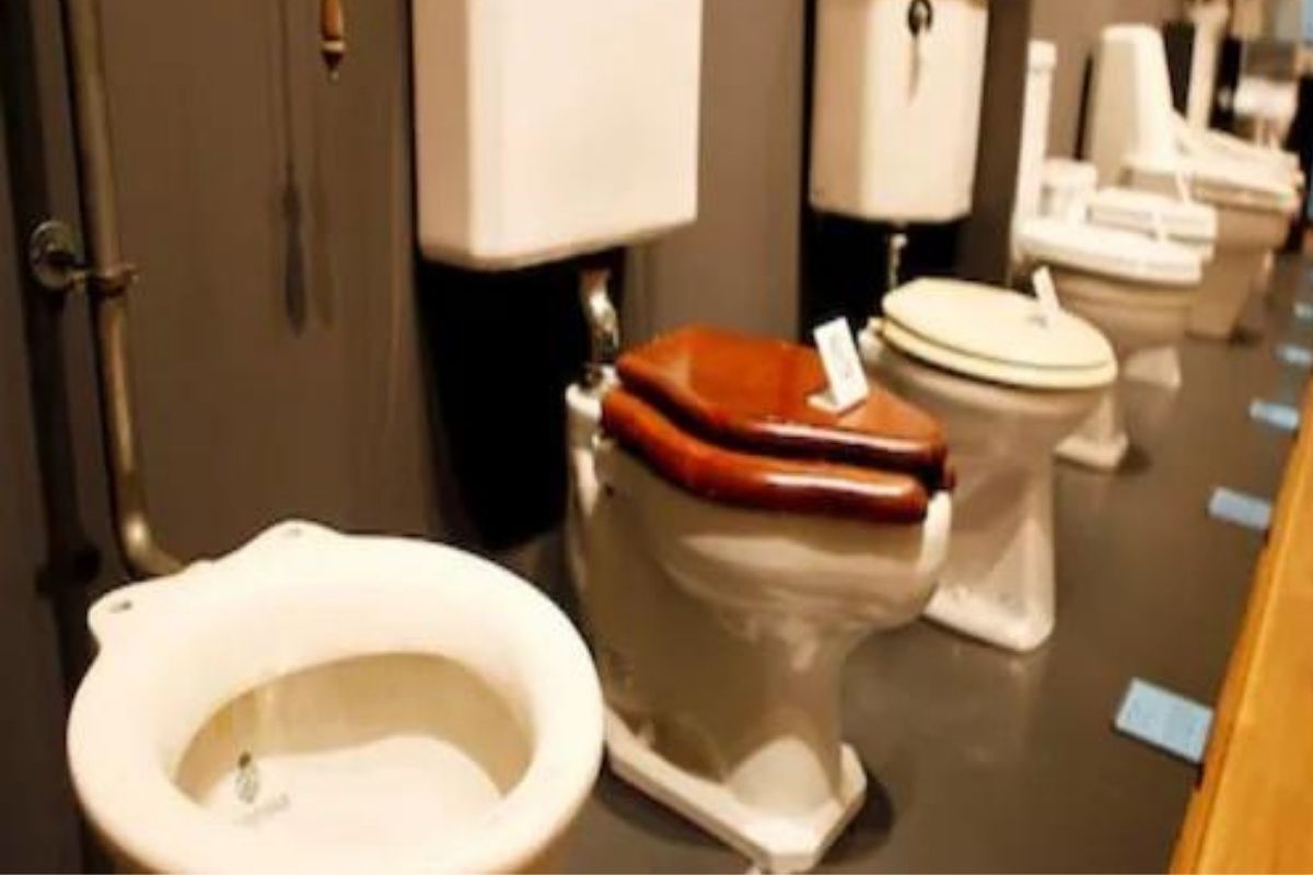 काय सांगता! आता टॉयलेटमध्येही असणार कॅमेरे? शास्त्रज्ञांनी सांगितले फायदे