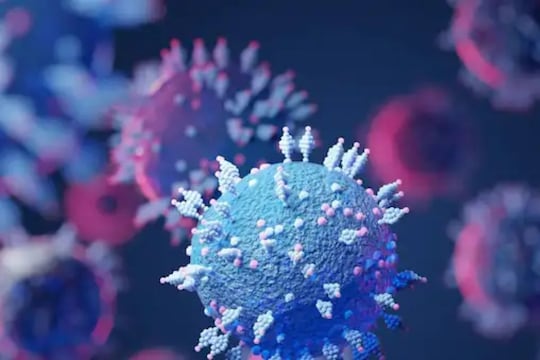 Coronavirus : कोरोना महामारी कधी संपणार? WHO च्या उत्तरानं वाढवली चिंता