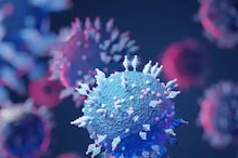 Coronavirus : कोरोना महामारी कधी संपेल? WHO च्या उत्तरानं वाढवली चिंता