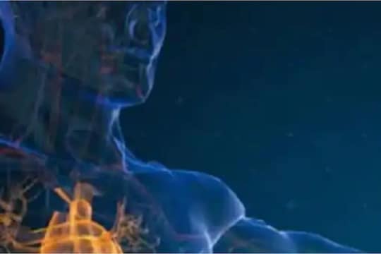 Heart Attack मुळे दररोज मरताहेत चारातले 3 लोक; धक्कादायक आकडेवारी आली समोर!
