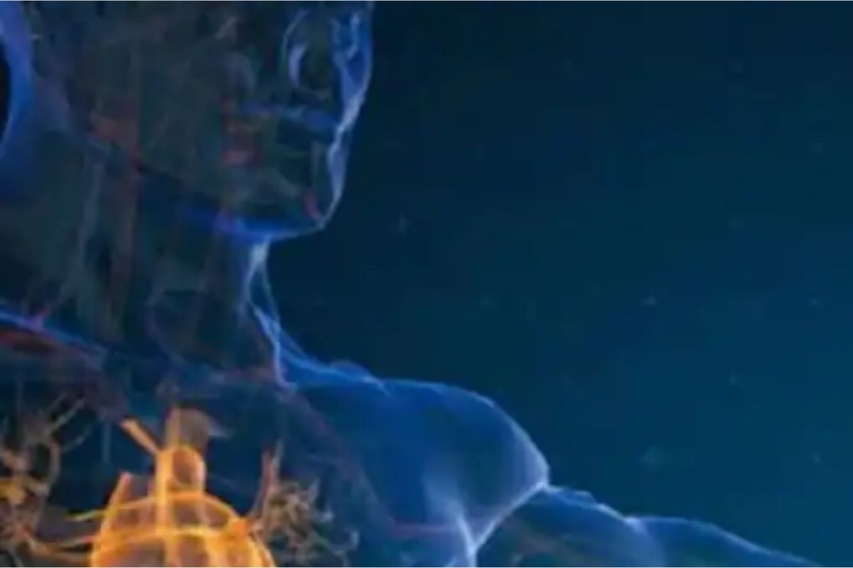 Heart Attack मुळे दररोज मरताहेत चारातले 3 लोक; धक्कादायक आकडेवारी आली समोर!