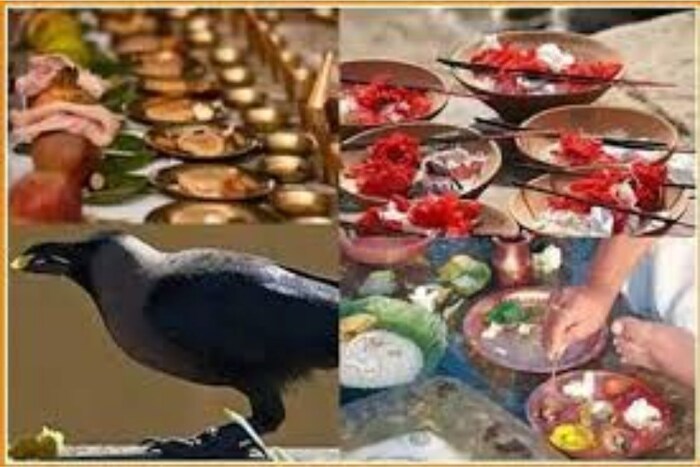 जर कावळ्याने अन्नपदार्थ खाऊन गायीच्या पाठीवर आपली चोच रगडली तर हे कार्य सत्करणी लागले, असं समजायचं. 