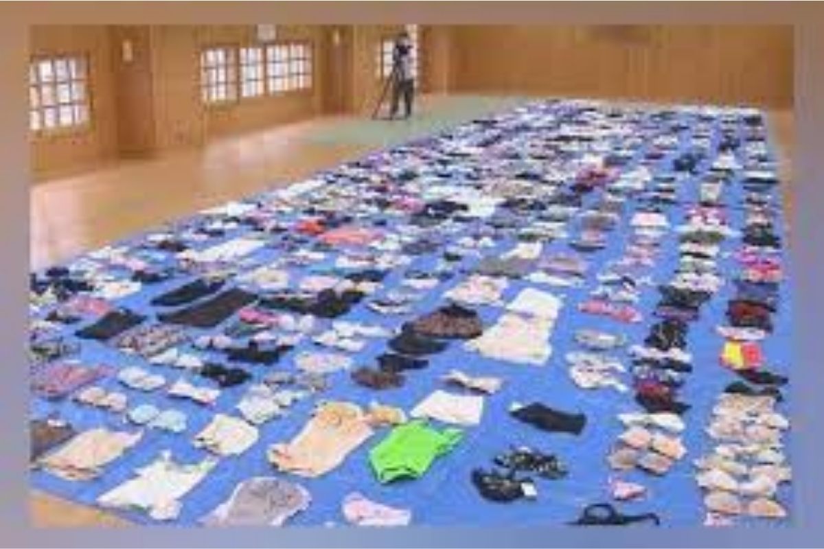 विचित्र चोर! पोलिसांनी घरात छापा मारला तेव्हा सापडला महिलांच्या अंतर्वस्त्रांचा ढीग