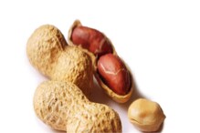 Peanut Benefits : भुईमुगाच्या शेंगा खाल्ल्याने 'या' घातक आजाराचा धोका होईल कमी