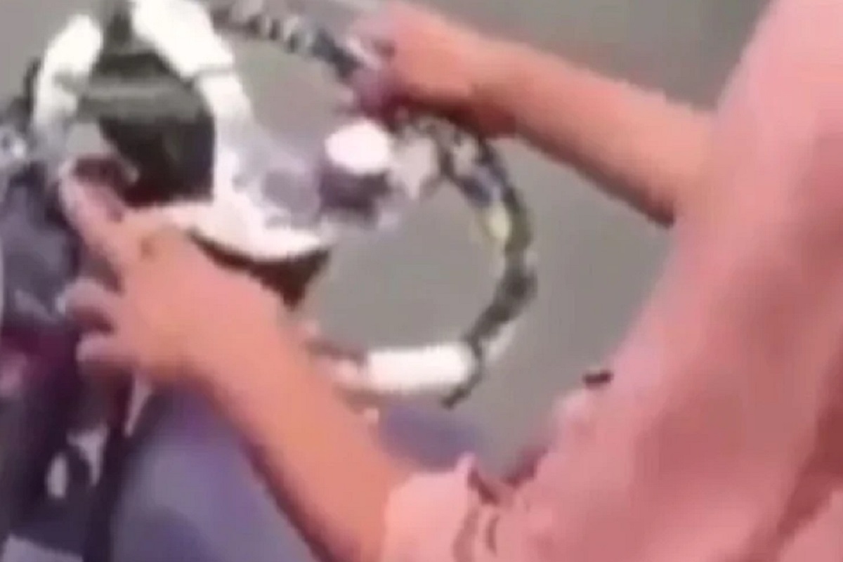 व्हॉट अॅन आयडिया सरजी! चक्क बाईकची कार बनवली; तरुणाने काय केला जुगाड पाहा VIDEO