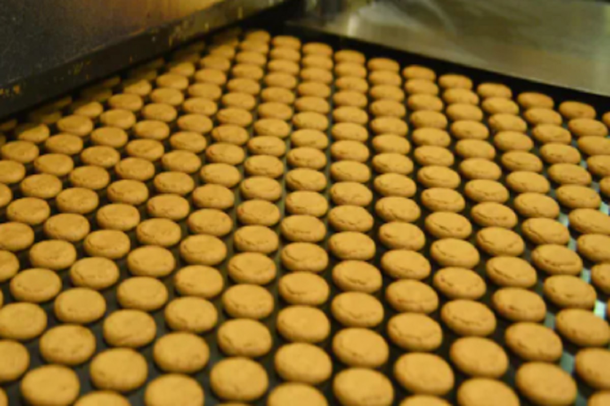 1 लाखात सुरू करा हा व्यवसाय, महिन्याला होईल 40000 हून अधिक नफा; पाहा डिटेल्स