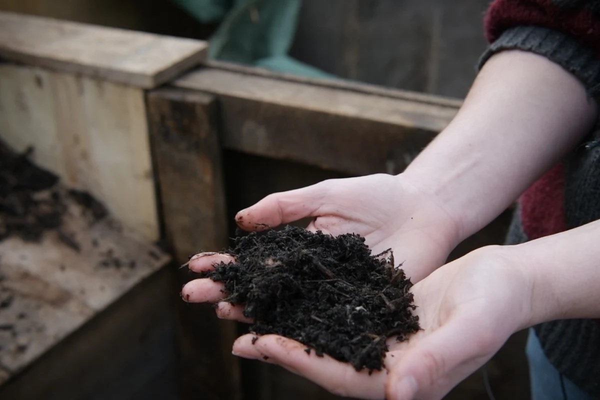 पुरामुळे खराब झालेल्या अन्नधान्यापासून केली जाणार खतनिर्मिती; महाराष्ट्रात अभिनव प्रयोग