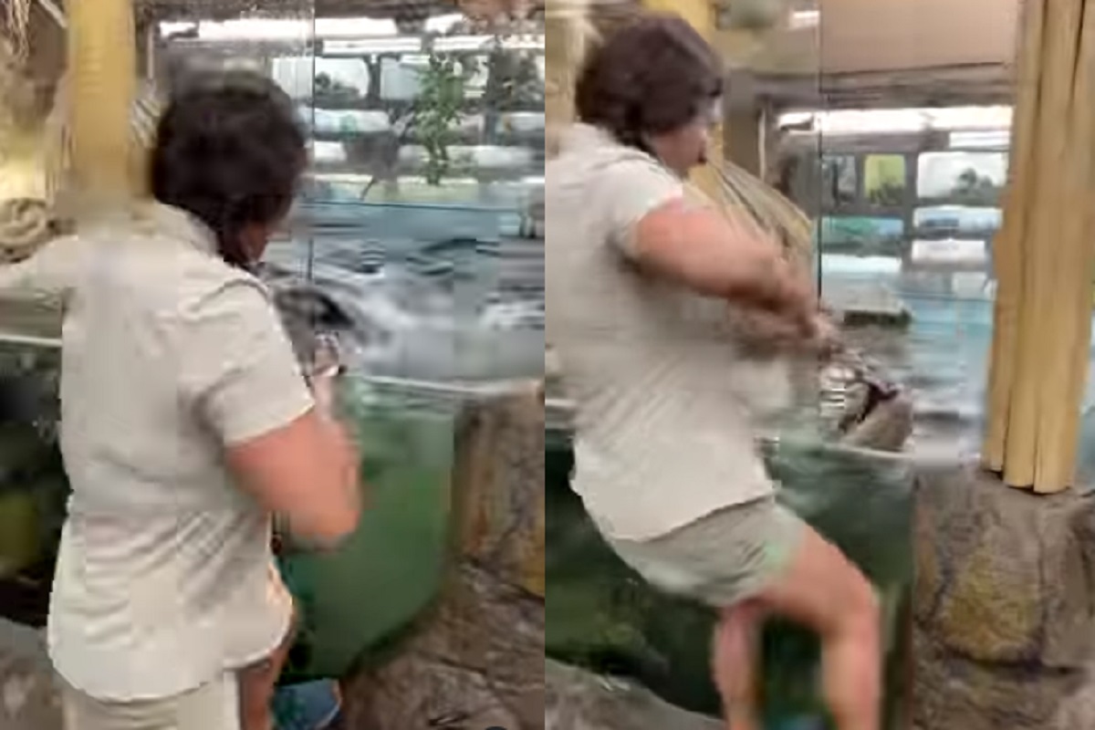 मगरीने तोंडात घट्ट धरून ठेवलं, सुटकेसाठी तरुणीची धडपड; धडकी भरवणारा VIDEO