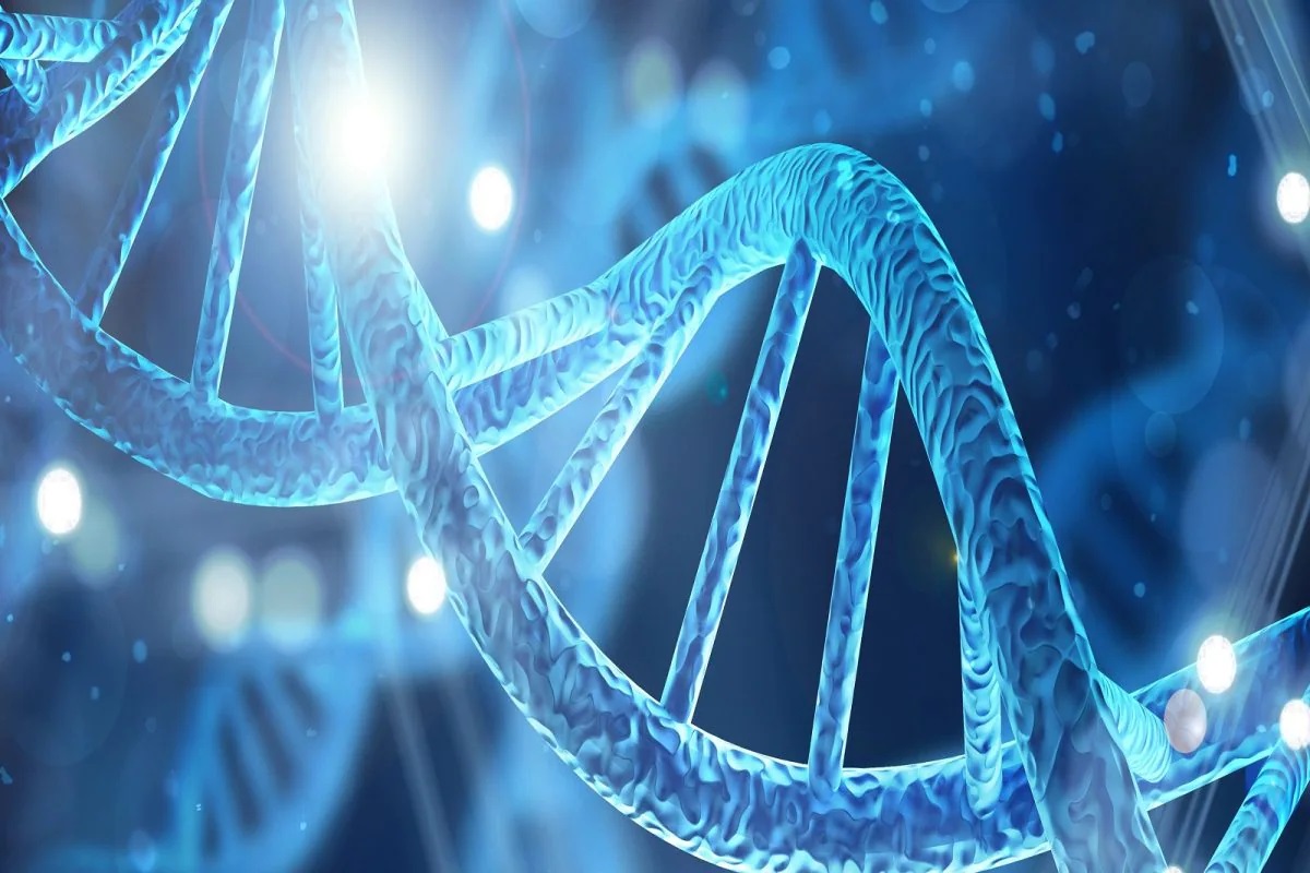 शतायुषी भव! 100 काय तुम्ही 120 वर्षांपेक्षाही जास्त जगू शकणार; भारतीय शास्त्रज्ञाला सापडला दीर्घायुष्याचा फॉर्म्युला