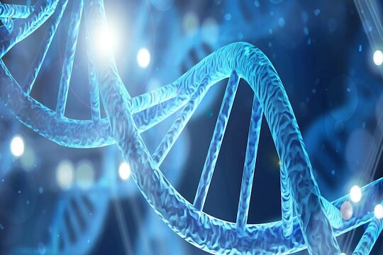 शतायुषी भव! 100 काय तुम्ही 120 वर्षांपेक्षाही जास्त जगू शकणार; भारतीय शास्त्रज्ञाला सापडला दीर्घायुष्याचा फॉर्म्युला