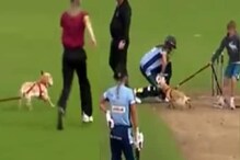 क्रिकेटच्या मैदानात कुत्र्याची एन्ट्री, बॉल तोंडात घेऊन सर्वांना पळवले! VIDEO