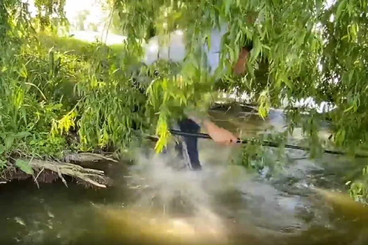 मासे पकडायला गेला पण माशानेच पाण्यात खेचून घेतलं आणि...; धडकी भरवणारा VIDEO