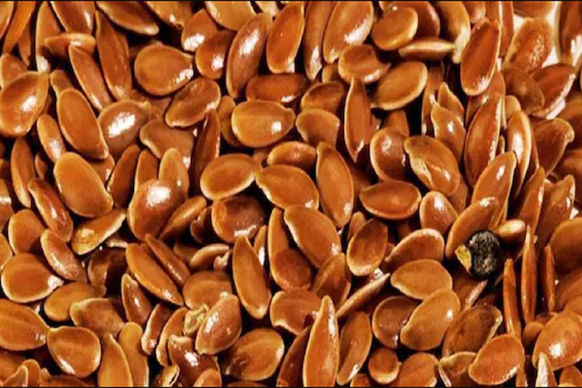 कॅन्सरपासून कित्येक आजारांवर गुणकारी आहेत अंबाडीच्या बिया; इतके सारे आहेत फायदे