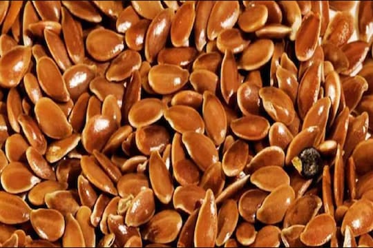 कॅन्सरपासून कित्येक आजारांवर गुणकारी आहेत अंबाडीच्या बिया; इतके सारे आहेत फायदे