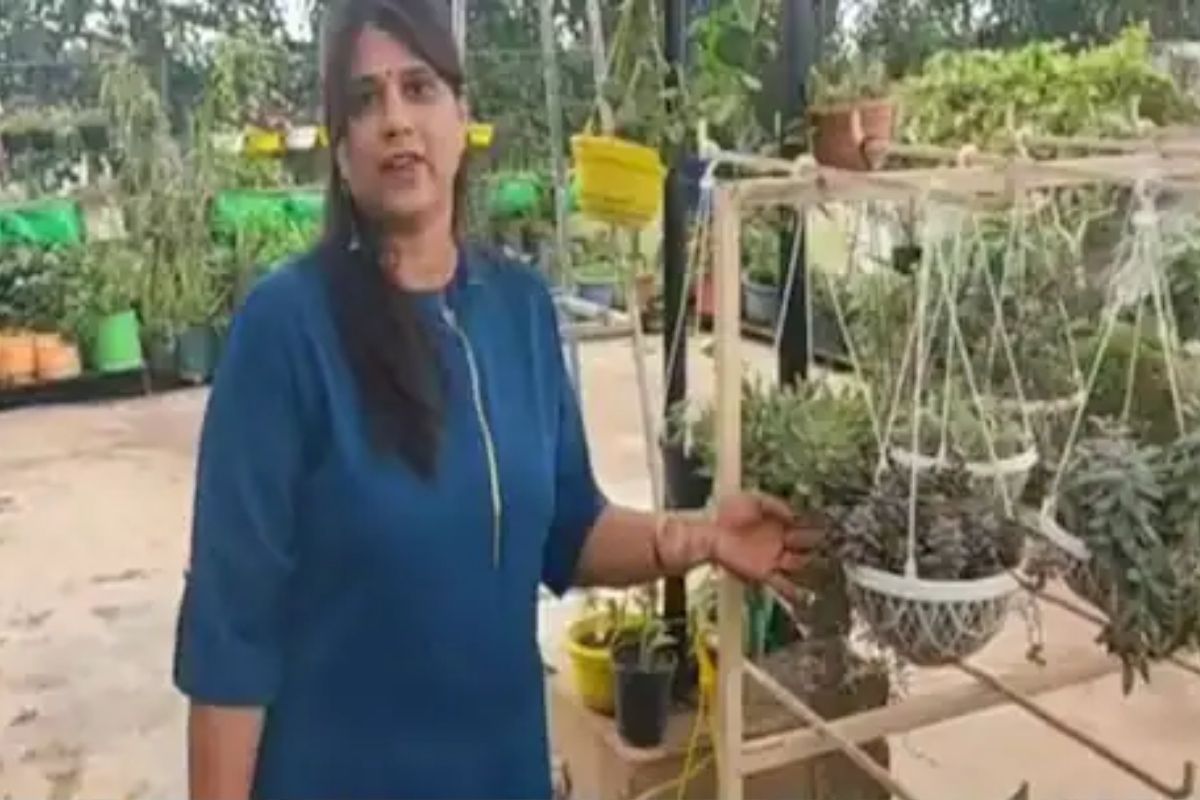 महिलेची कमाल! गच्चीवर गार्डनिंग करून बदललं स्वतःचं नशीब; आता कमावते लाखो रुपये