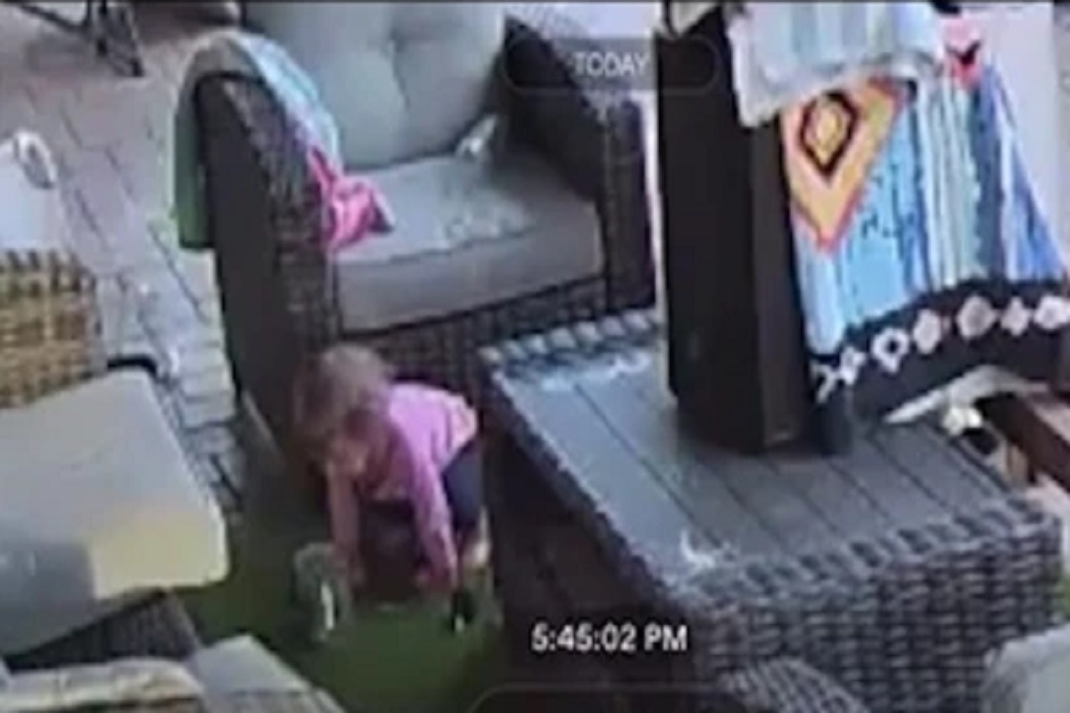 फोटो सौजन्य - SWNS