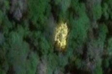 ऐकावं ते नवलच, चक्क Google Maps वरून सापडली सोन्याची खाण?