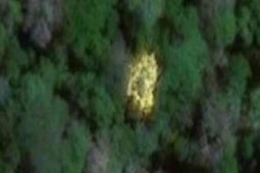 खरंच तो खजिनाच असेल, म्हणजे सोन्याची खाणच असेल, तर त्या युझरचं नशीब फळफळू शकतं.