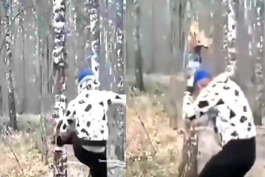 एका किकमध्ये झाड पाडलं पण दुसऱ्याच क्षणी फुटलं तरुणाचं टाळकं; Shocking video