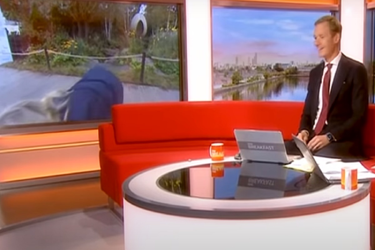 VIDEO - ...अन् लाईव्ह रिपोर्टिंगवेळी धाडकन कोसळली रिपोर्टर; कॅमेऱ्यात कैद झालं शॉकिंग दृश्य