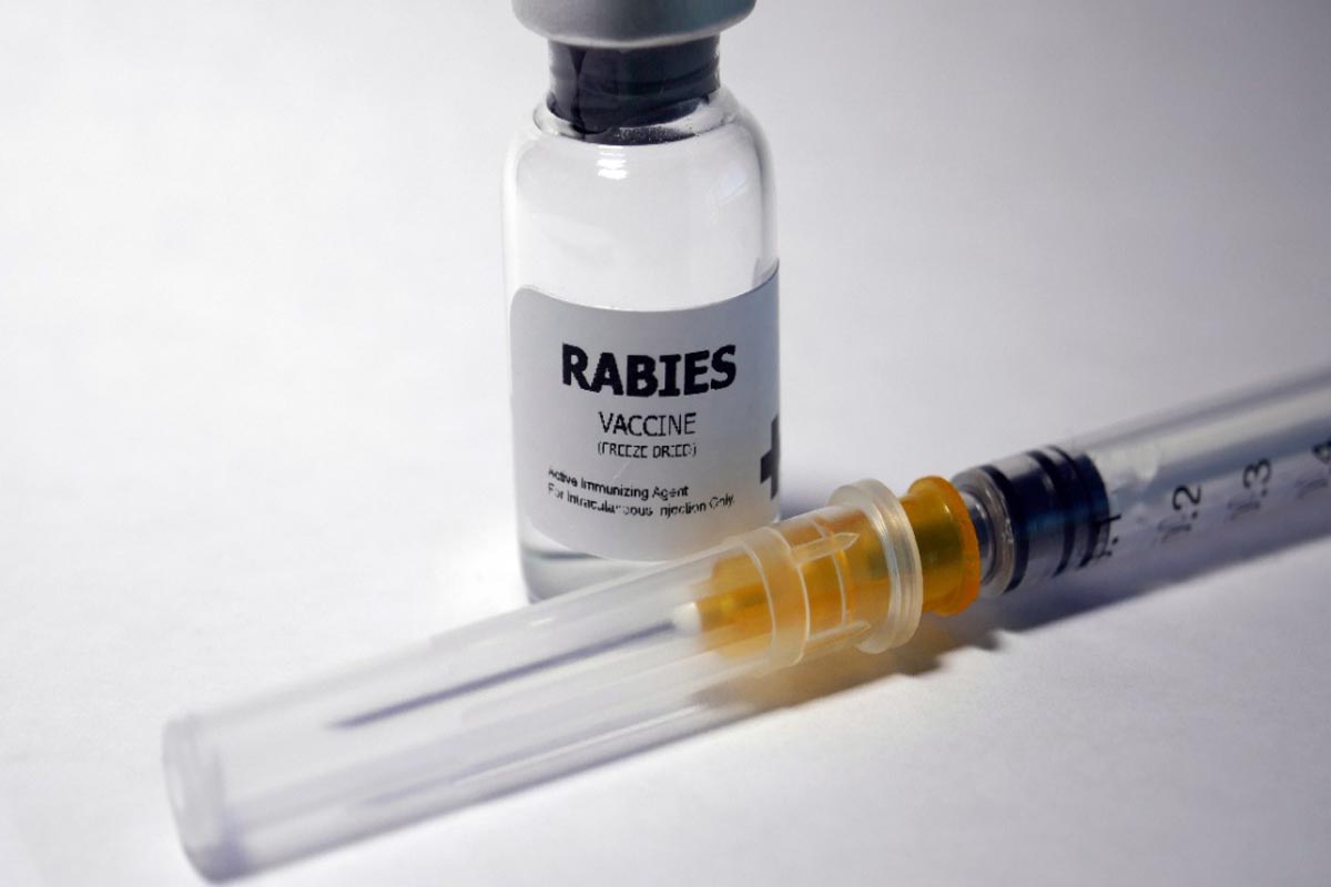 कळव्यातील आतकोनेश्वर नगर भागात कोरोना लसीकरण सुरू असताना हा प्रकार घडला आहे.