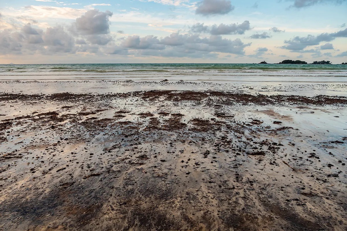 Explainer: मुंबई, गोवाच्या समुद्रकिनाऱ्यावर आढळले काळे चिकट गोळे, नक्की काय आहे हे आणि किती धोकादायक?